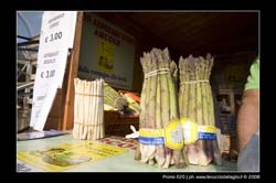 00978-SanBonifacio-27-Apr-2008