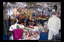 00277-Melissima-2007