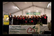 00408-Melissima-2007