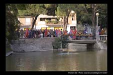 00420-Melissima-2007